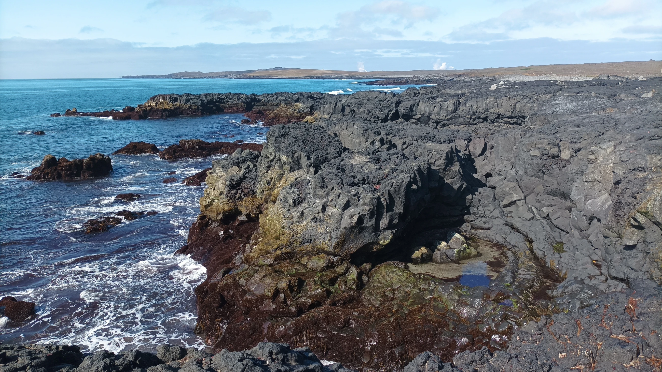 Iceland / coastal landscape